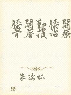 膝关节膝关节软骨磨损治疗
