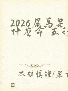 2026属马是什么命 五行属什么