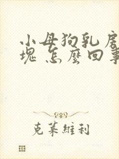 小母狗乳房有硬块 怎么回事封面