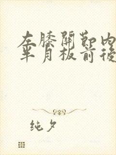 左膝关节内外侧半月板前后角退变