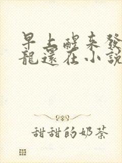 早上醒来发现巨龙还在小说
