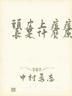 头皮上痘痘反复长是什么原因