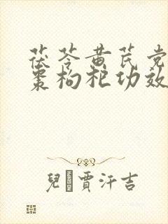 茯苓黄芪党参红枣枸杞功效与作用