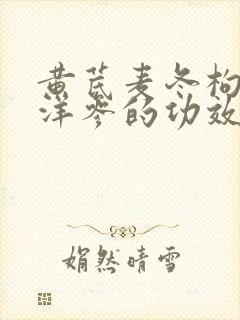 黄芪麦冬枸杞西洋参的功效与作用及禁忌