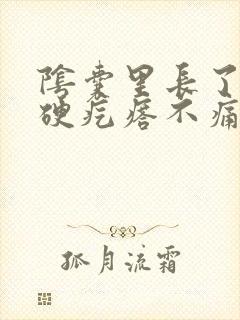 阴囊里长了个小硬疙瘩不痛不痒