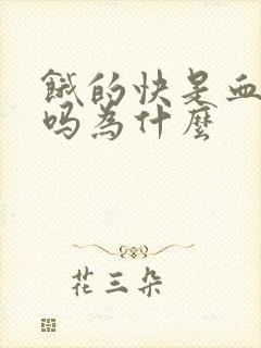 饿的快是血糖高吗为什么封面