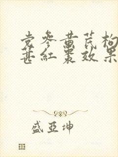 党参黄芪枸杞桑葚红枣效果