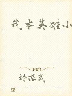 我本英雄小说