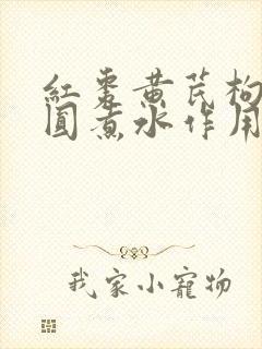 红枣黄芪枸杞桂圆煮水作用与功效封面