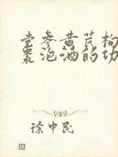 党参黄芪枸杞红枣泡酒的功效与作用