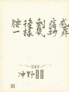 腰后刺痛感针扎一样几秒疼一下