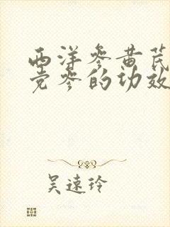 西洋参黄芪麦冬党参的功效