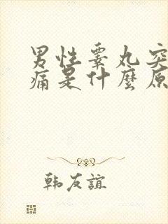 男性睾丸突然疼痛是什么原因