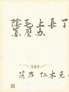 阴毛上长了阴虱怎么办