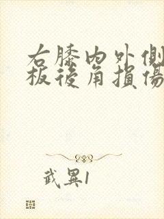 右膝内外侧半月板后角损伤1度