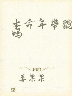 本命年带貔貅好吗