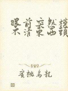 眼前突然模糊看不清东西头晕出冷汗