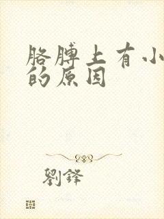 胳膊上有小块癣的原因