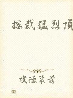 总裁猛烈顶弄h