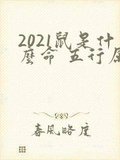 2021鼠是什么命 五行属什么