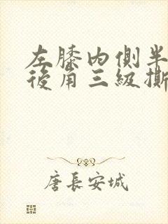 左膝内侧半月板后角三级撕裂