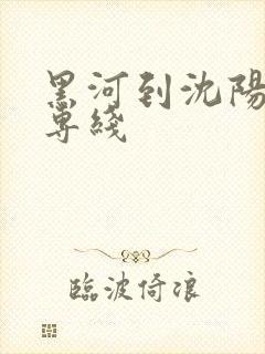 黑河到沈阳物流专线