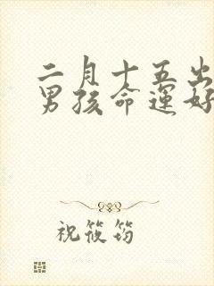 二月十五出生的男孩命运好吗