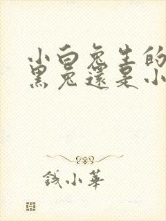 小白兔生的是小黑兔还是小灰兔封面