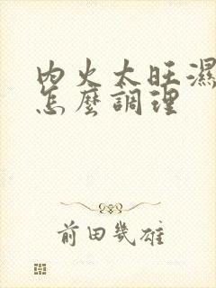 内火太旺湿气重怎么调理