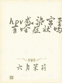 hpv感染宫颈有啥症状吗