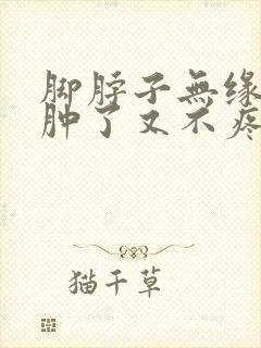 脚脖子无缘无故肿了又不疼
