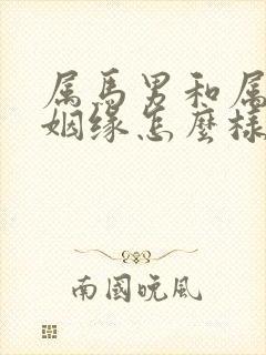 属马男和属猴女姻缘怎么样