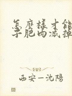 怎么样才能把肚子肥肉减掉