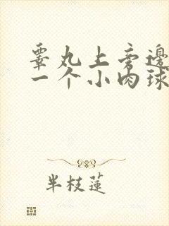 睾丸上旁边长了一个小肉球硬硬的