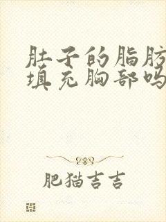 肚子的脂肪可以填充胸部吗?封面