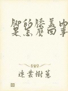 脚的膝盖内侧疼是怎么回事封面