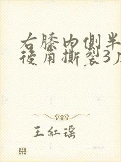 右膝内侧半月板后角撕裂3度封面