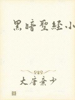 黑暗圣经小说