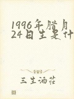 1996年腊月24日生是什么命?