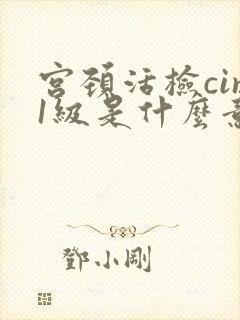 宫颈活检cin1级是什么意思?