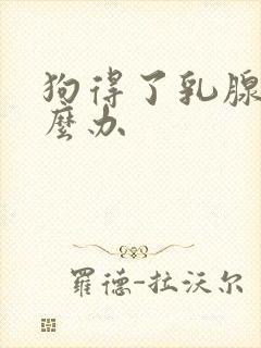 狗得了乳腺炎怎么办封面