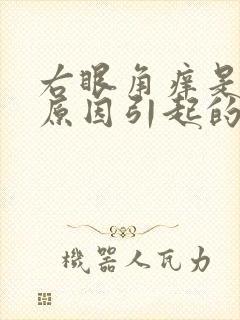 右眼角痒是什么原因引起的