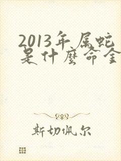 2013年属蛇是什么命金木水火土
