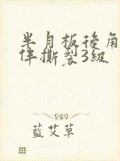 半月板后角损伤伴撕裂3级