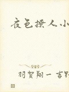 夜色撩人小说