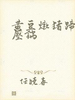 黄豆炖猪蹄 高压锅