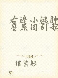右边小腿肿是什么原因引起的