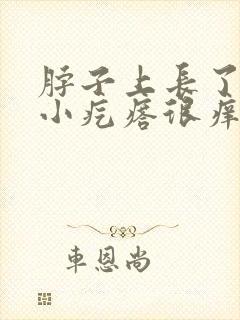 脖子上长了很多小疙瘩很痒怎么回事封面