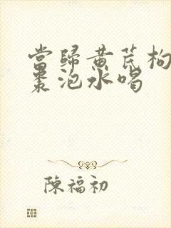 当归黄芪枸杞红枣泡水喝