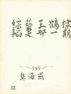 综艺王鹤棣黄子韬是哪一期